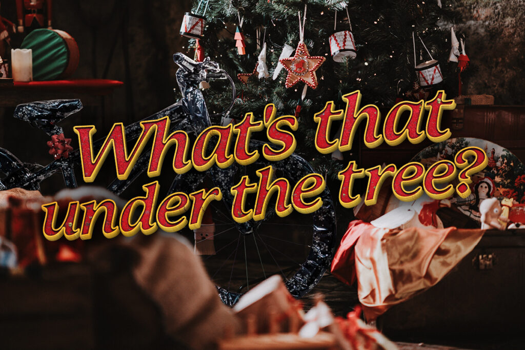 What's that under the tree? Santa's Workshop Storage